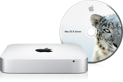 configuration mac mini server for business